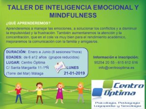 Taller de Inteligencia Emocional y Mindfulness, Centro Óptima