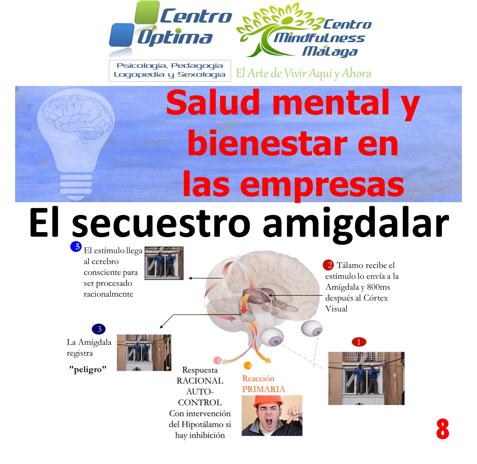 Salud mental en las empresas 8: El secuestro amigdalar, Centro Óptima