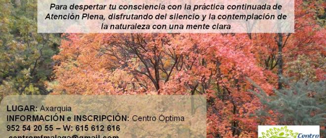 Retiro Mindfulness en Noviembre, Centro Óptima