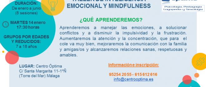 TALLER INTELIGENCIA EMOCIONAL Y MINDFULNESS, Centro Óptima